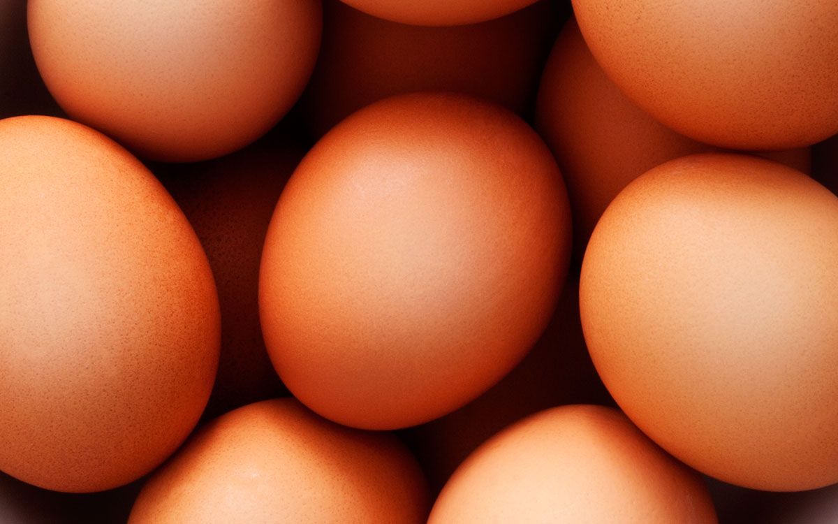 Close-Up-Eggs